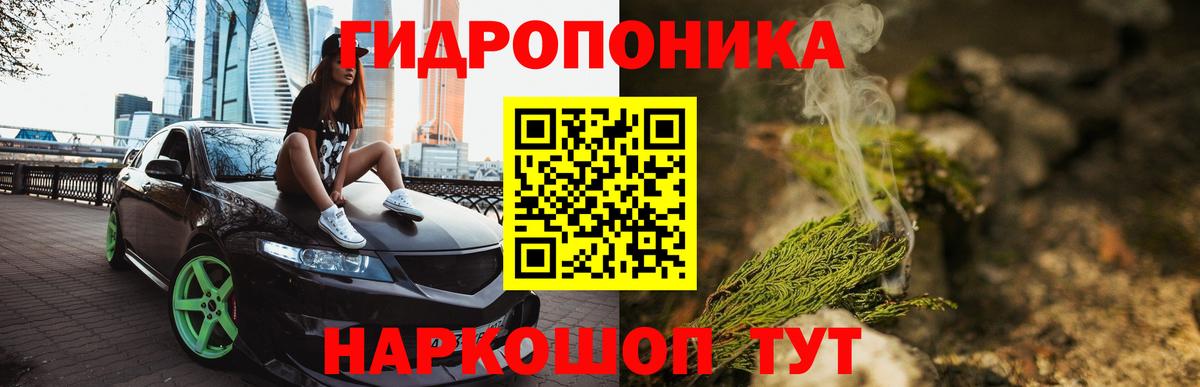 Шишки марихуана гибрид Сибай